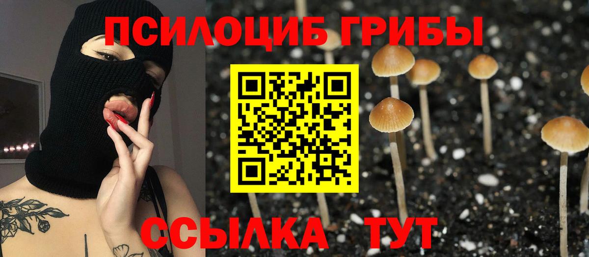 Волхов  Псилоцибиновые грибы мухоморы  Галлюциногенные грибы прущие грибы  Вход с VPN 