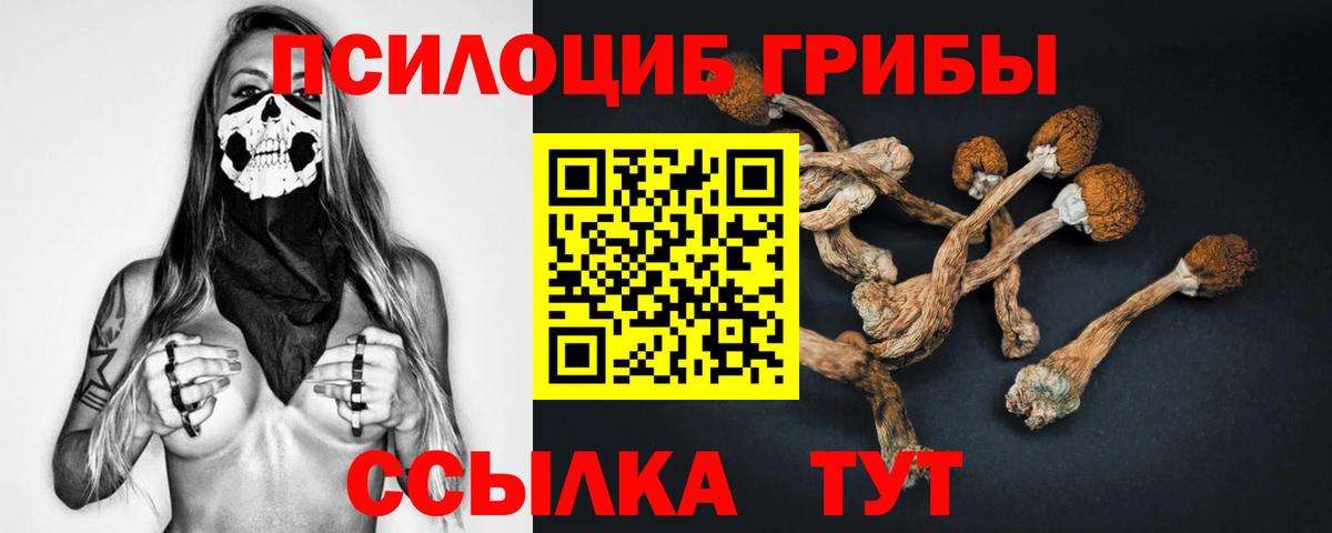 Псилоцибиновые грибы GOLDEN TEACHER Волхов