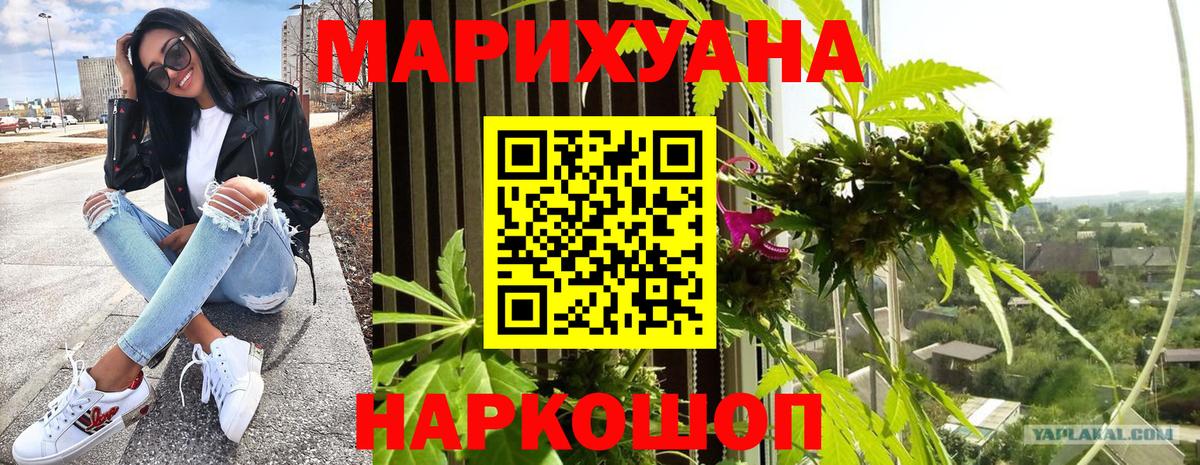 Каннабис план  Вход с VPN  Волхов  Бошки марихуана марихуана  Конопля ГИДРОПОН 